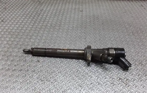 Citroen C8 Fuel injector 9653344880