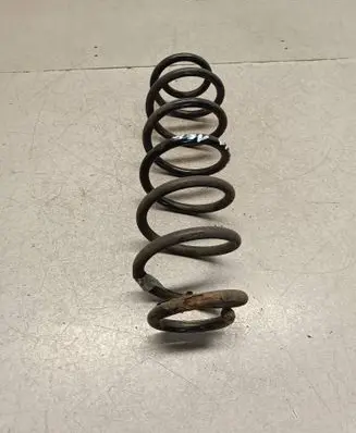 Rear coil spring