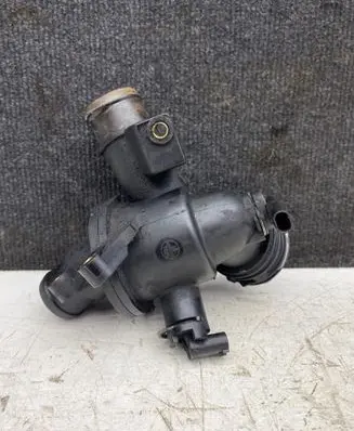 Thermostat/thermostat housing