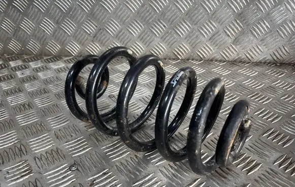 Rear coil spring