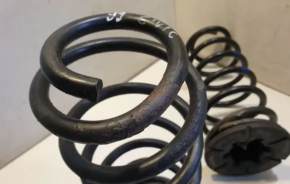 Rear coil spring