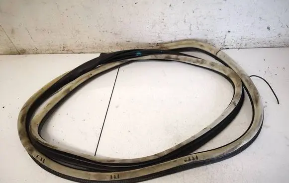 Citroen C5 Rubber seal rear door