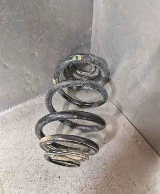 Rear coil spring