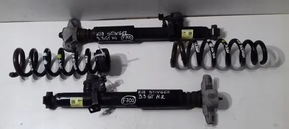 KIA Stinger Rear shock absorber with coil spring 55301J5050 55300J5050