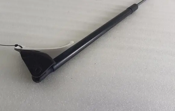 Tailgate/trunk strut/damper