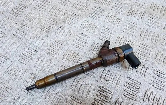 KIA Carens III Fuel injector 0445110411 338002A800
