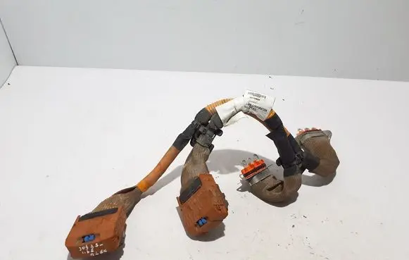 Other wiring loom