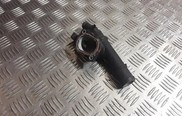 Thermostat/thermostat housing