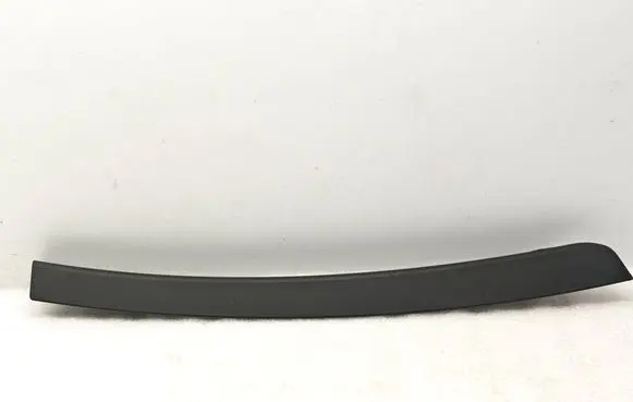 Rear door glass trim molding