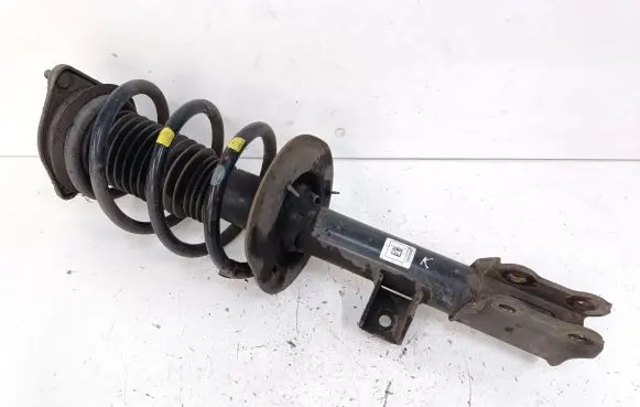 KIA Sportage Front shock absorber/damper 546503U550