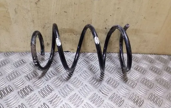 Front coil spring