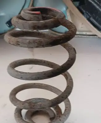 Volkswagen PASSAT B5.5 Rear coil spring