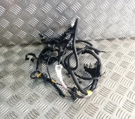 Tesla Model 3 Other wiring loom 106876700E