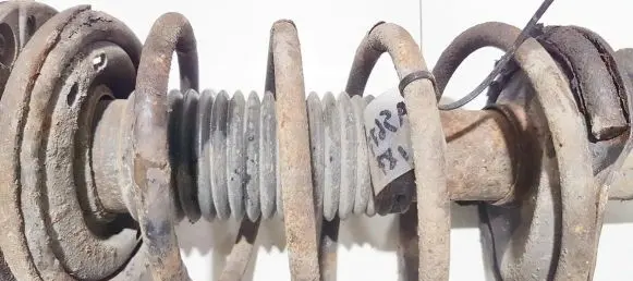 Front coil spring