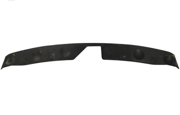 Engine bonnet/hood lock trim molding