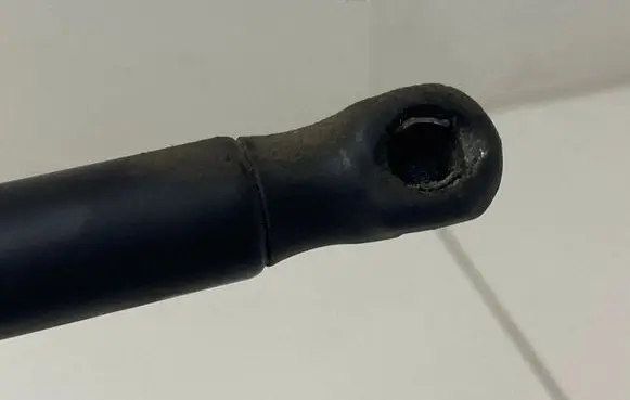 Opel Signum Tailgate/trunk strut/damper 244544730512