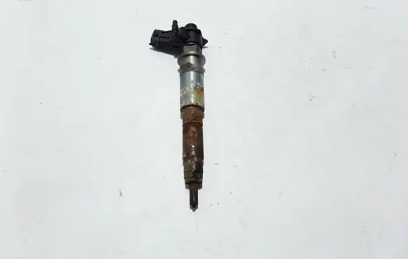 Renault Latitude (L70) Fuel injector 7701478969