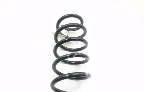 Toyota Auris E180 Rear coil spring 4823102C01