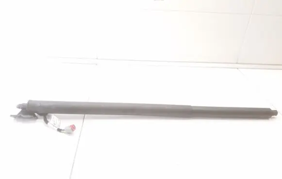 Ford Mustang Mach-E Tailgate/trunk strut/damper LJ8BR402A55AE
