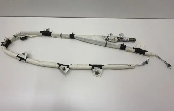 Tesla Model 3 Roof airbag 0080P1110030 655019300A 1077828