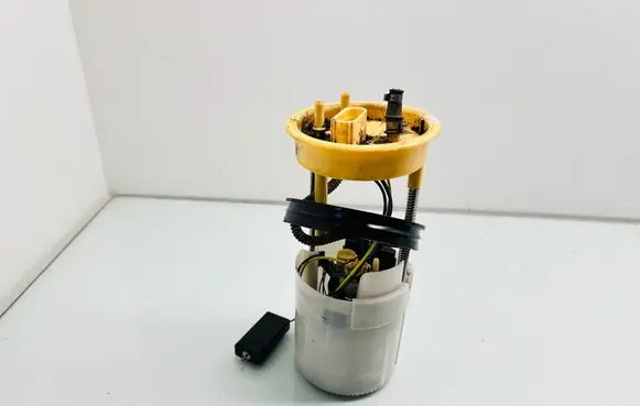Volkswagen Touran II In-tank fuel pump 1T0919050F
