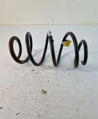 Front coil spring