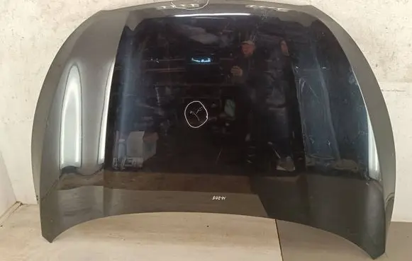 Engine bonnet/hood