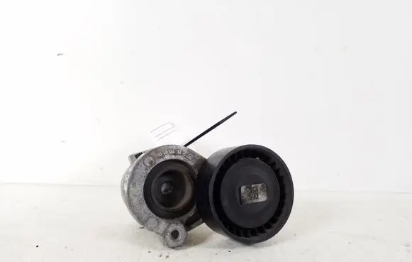 Renault Kangoo II Timing belt/chain tensioner 117501113R