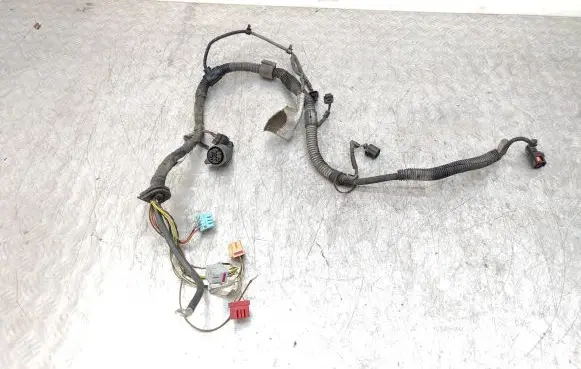 Engine installation wiring loom