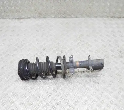 Renault Kangoo II Front shock absorber/damper 543020503R