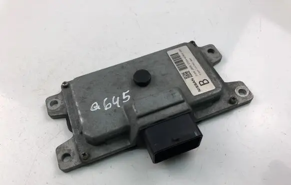 Nissan Qashqai Other control units/modules 31036JD02E