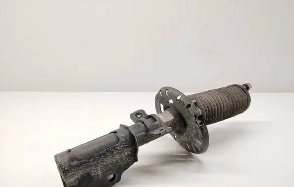 Opel Grandland X Front shock absorber/damper 9819718680