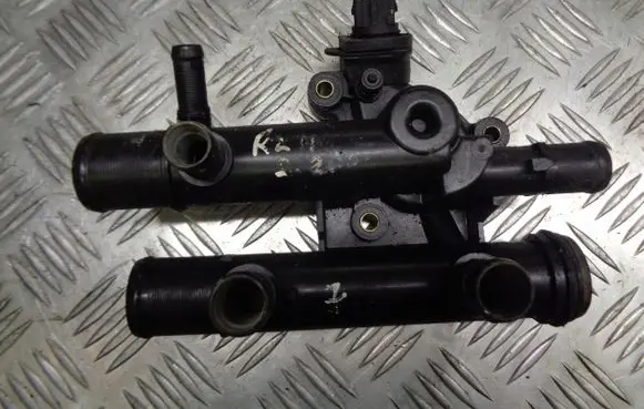 Thermostat/thermostat housing