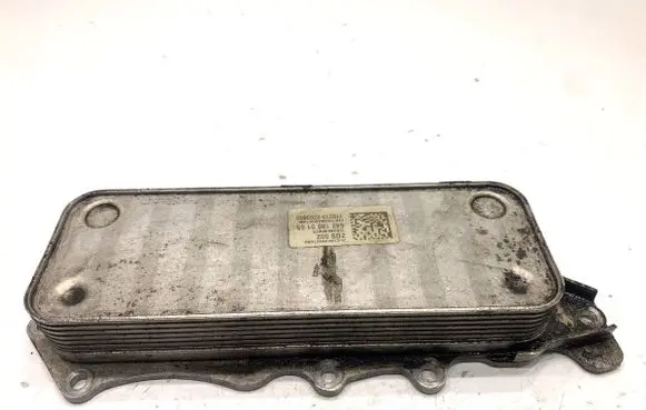 Mercedes-Benz ML W166 Engine oil radiator 6421800165