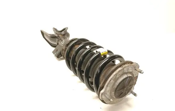 Tesla Model 3 Front shock absorber with coil spring 104436804B CFP222029B2228 104437904B
