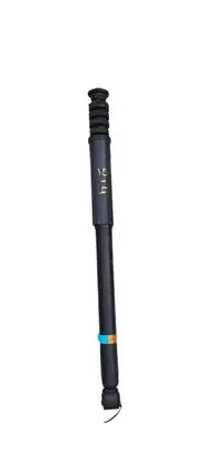Dacia Sandero II Front shock absorber/damper