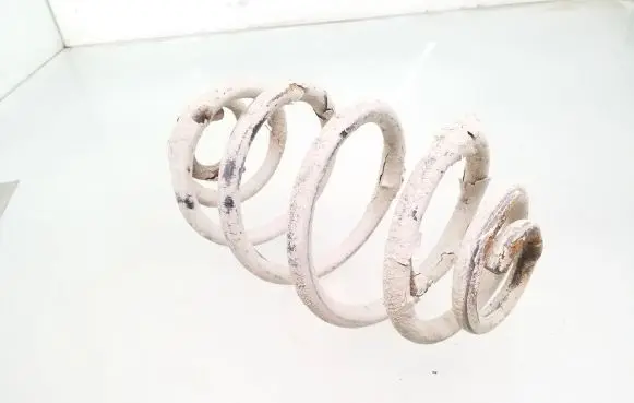 Volkswagen PASSAT B5 Rear coil spring