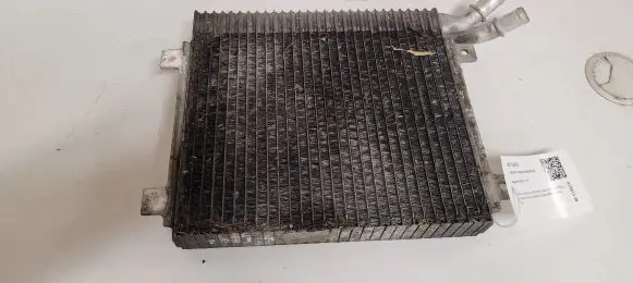 Jaguar XF X250 Coolant radiator 9X238D049AC