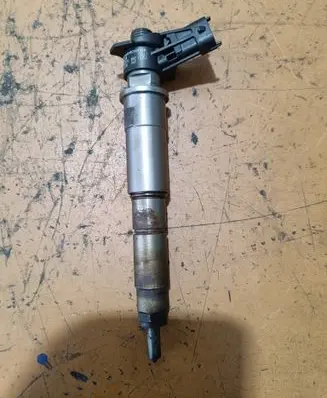 Renault Koleos I Fuel injector 0445115007