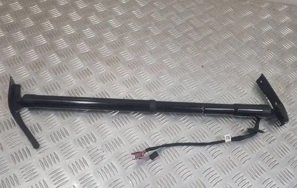 Renault Talisman Tailgate strut 904524541R