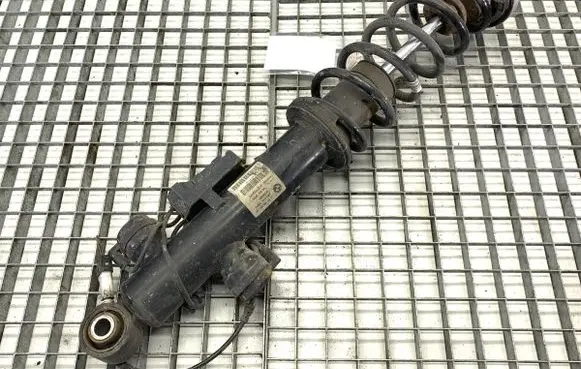 Rear shock absorber/damper