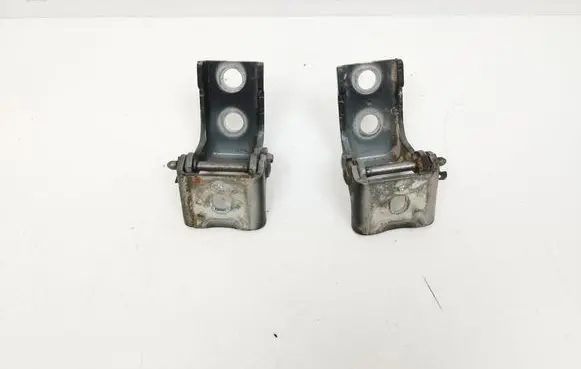 Citroen DS5 Front door hinge set 