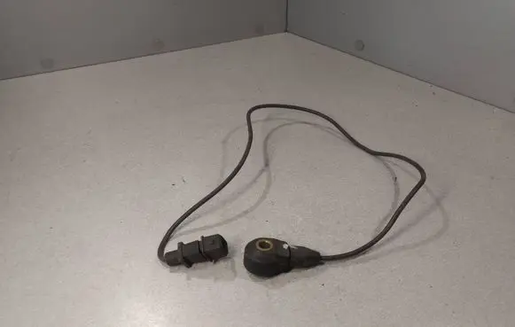 Opel Sintra Detonation knock sensor 0261231079