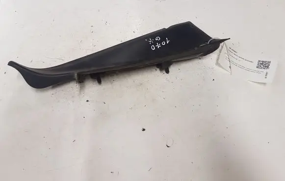 Rear/tail light trim molding