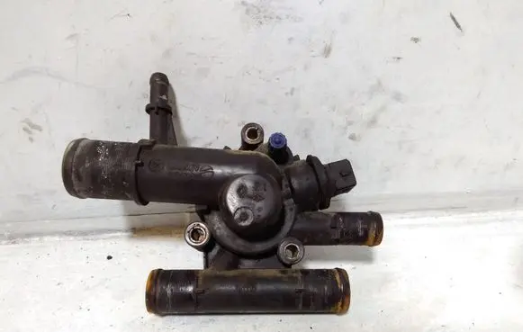 Thermostat/thermostat housing