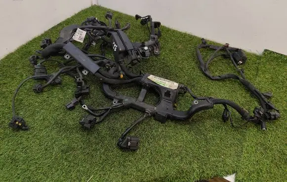 Engine installation wiring loom