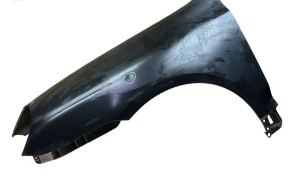 Porsche Cayenne (9PA) Fender 95550303201 95550303201GRV