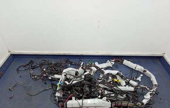 BMW X5 E53 Other wiring loom 88788261