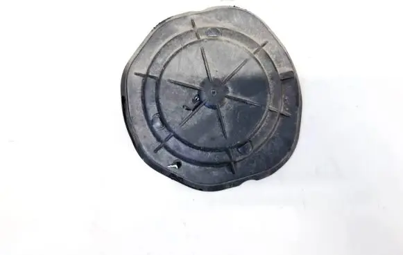 Headlight/headlamp dust cover