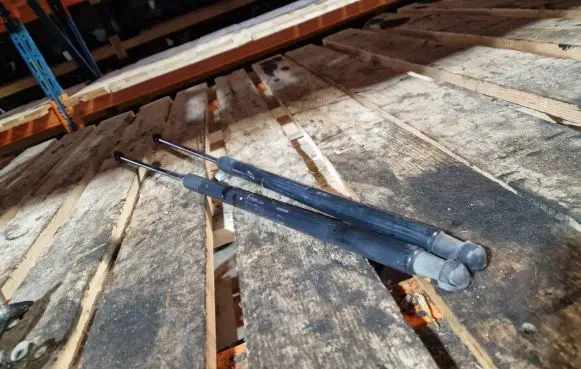Tailgate strut